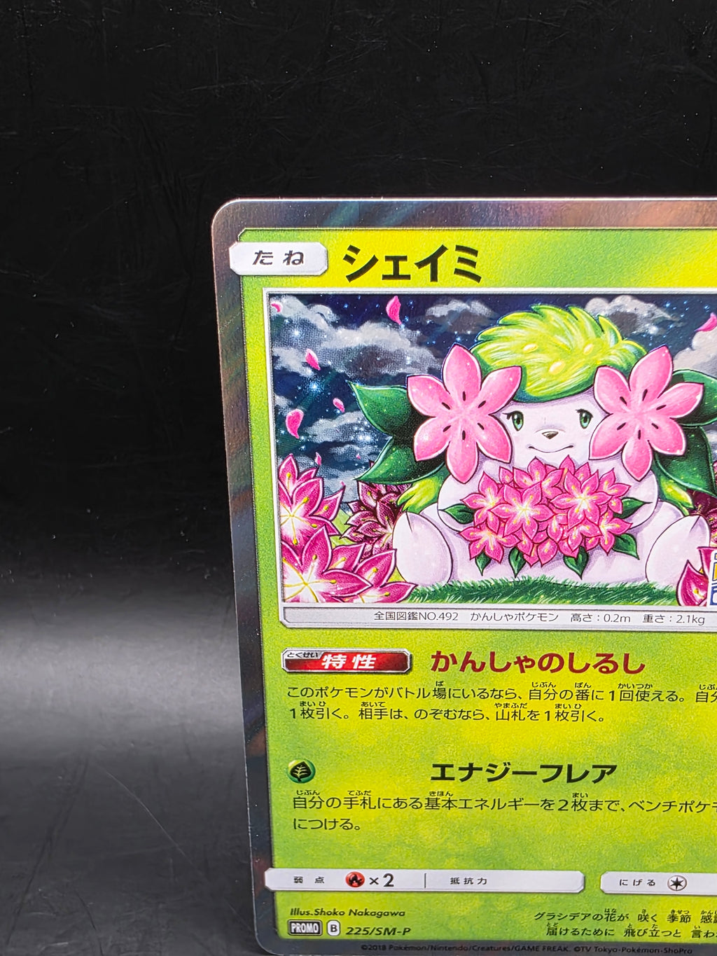 Shaymin Pokemon 2018 Holo PKMN Center 20th A Campaign Promo Japanese 225/SM-P