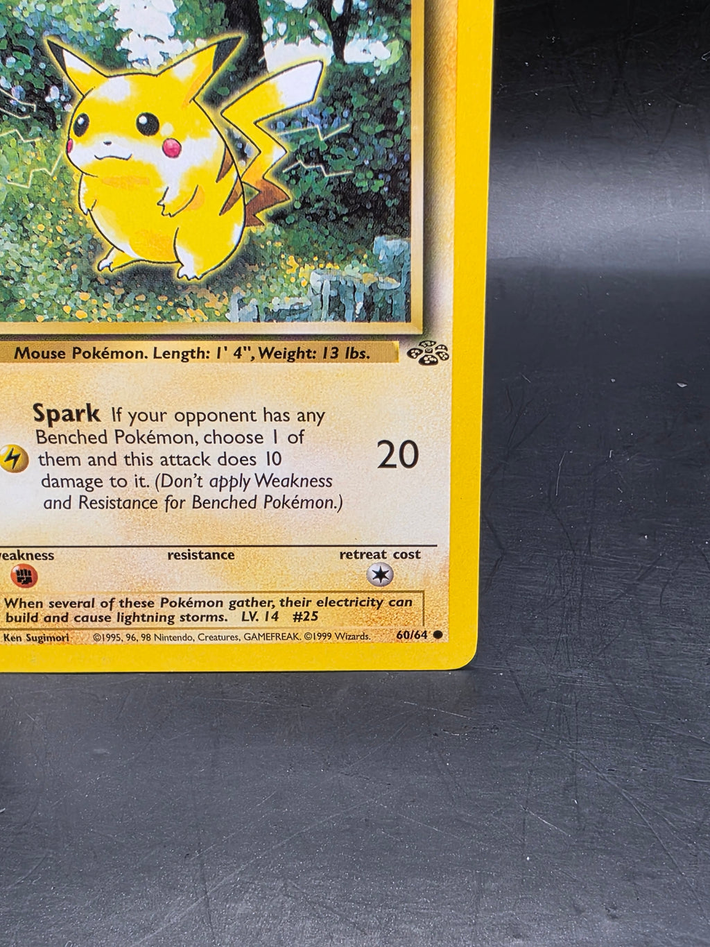 Pokémon TCG Pikachu Jungle 60/64 Regular LP