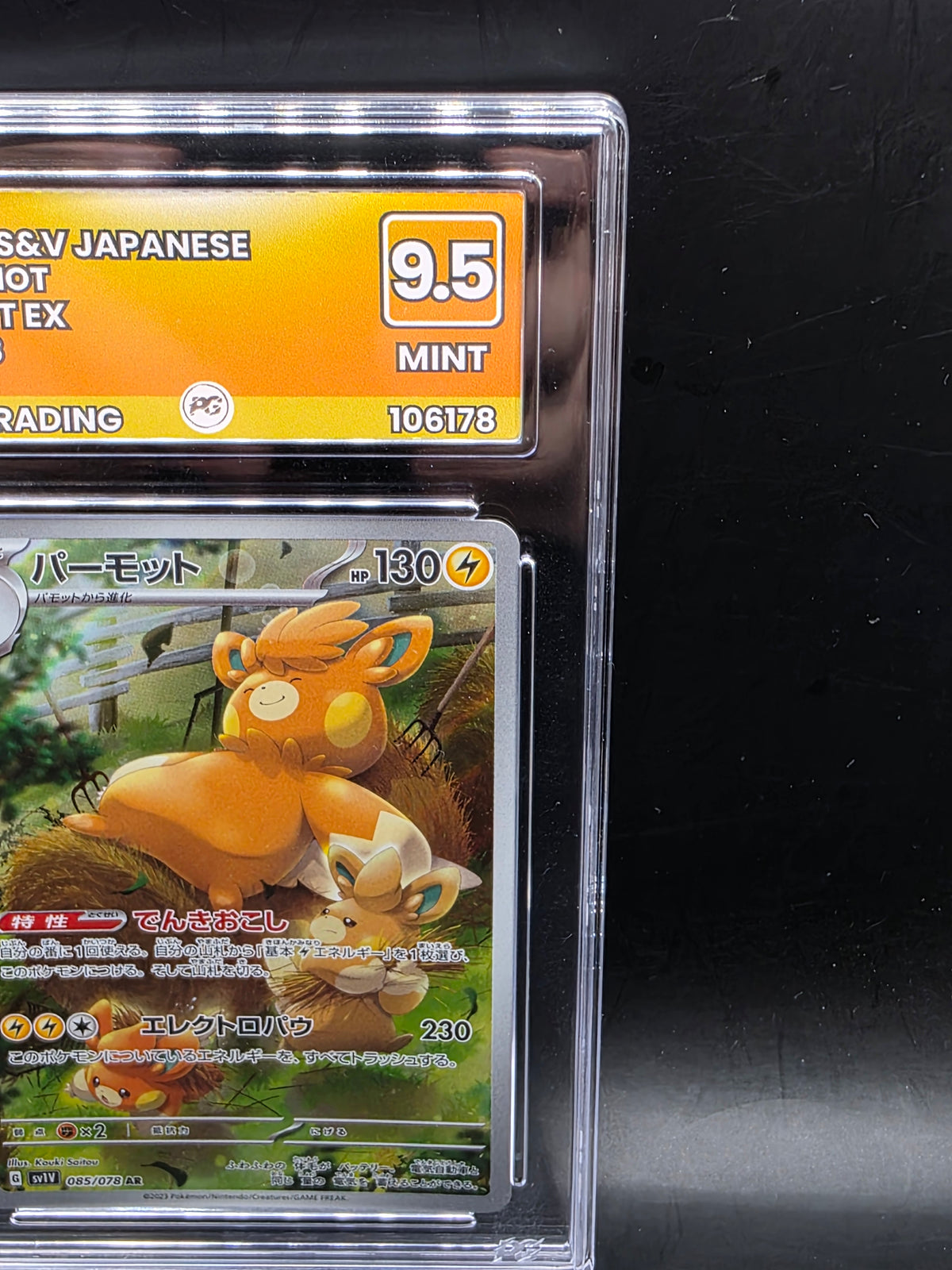 Pawmot 085/078 Japanese Pokemon Card PG Graded 9.5
