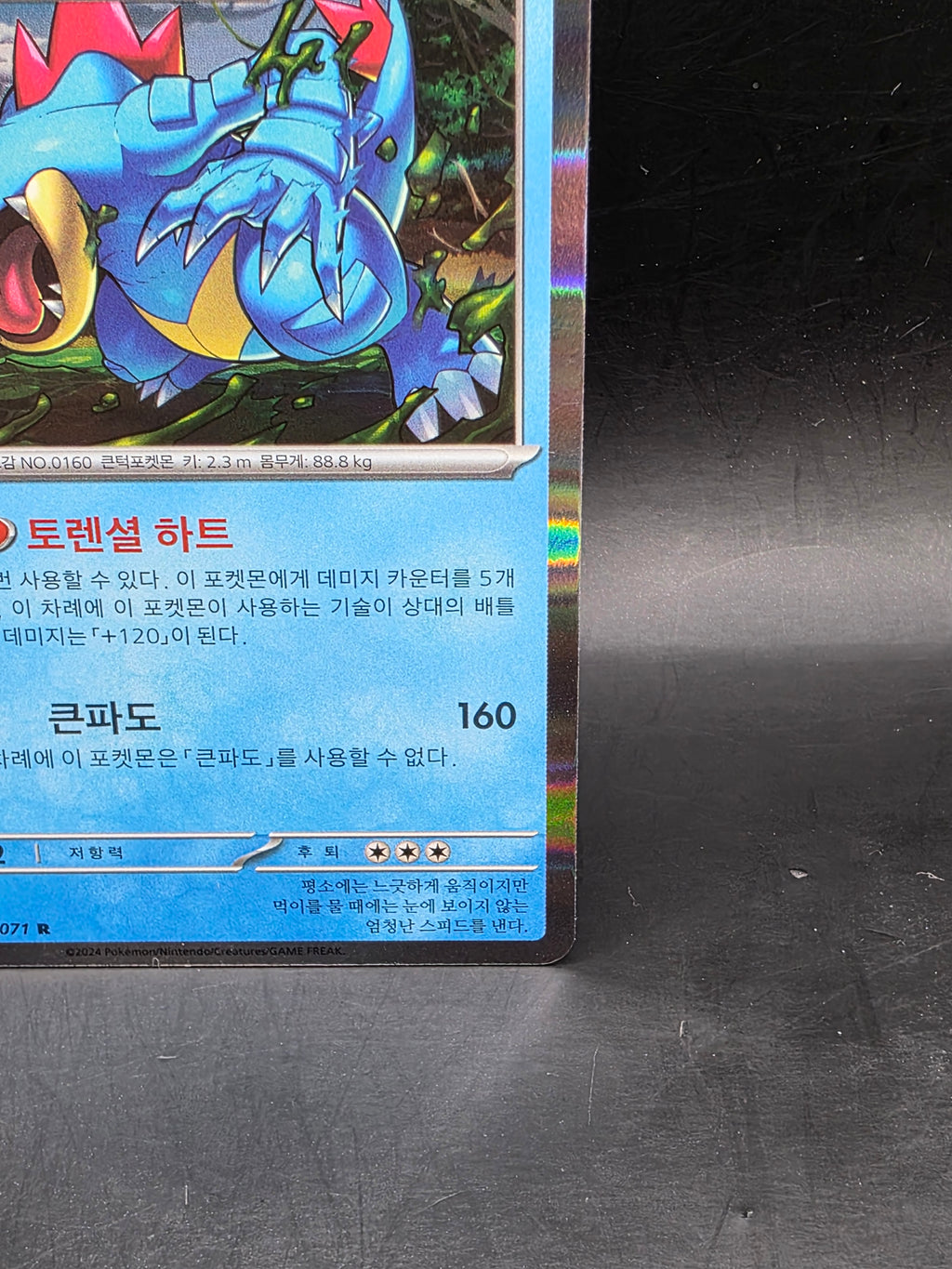 Pokémon TCG Feraligatr Neo Genesis Holo Card 015/071 R