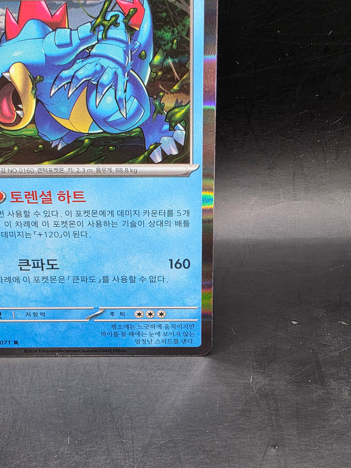 Pokémon TCG Feraligatr Neo Genesis Holo Card 015/071 R