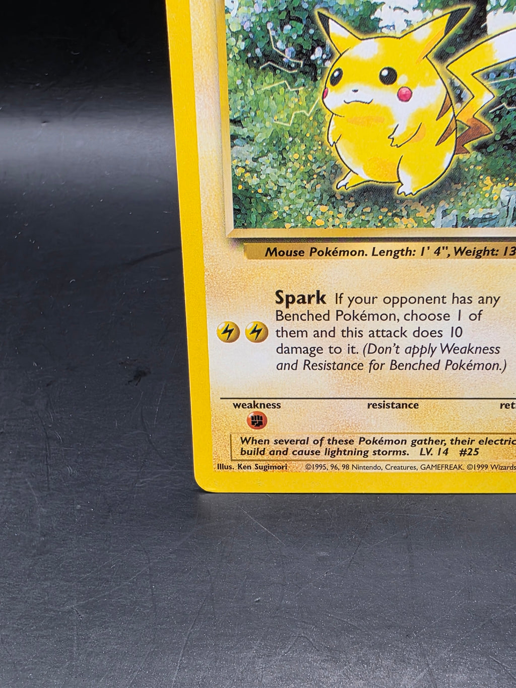 Pokémon TCG Pikachu Jungle 60/64 Regular LP