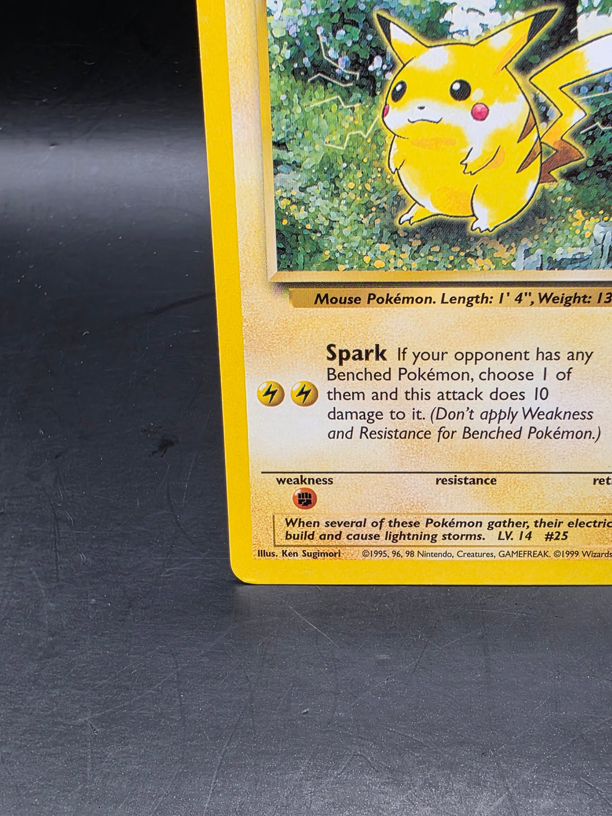 Pokémon TCG Pikachu Jungle 60/64 Regular LP