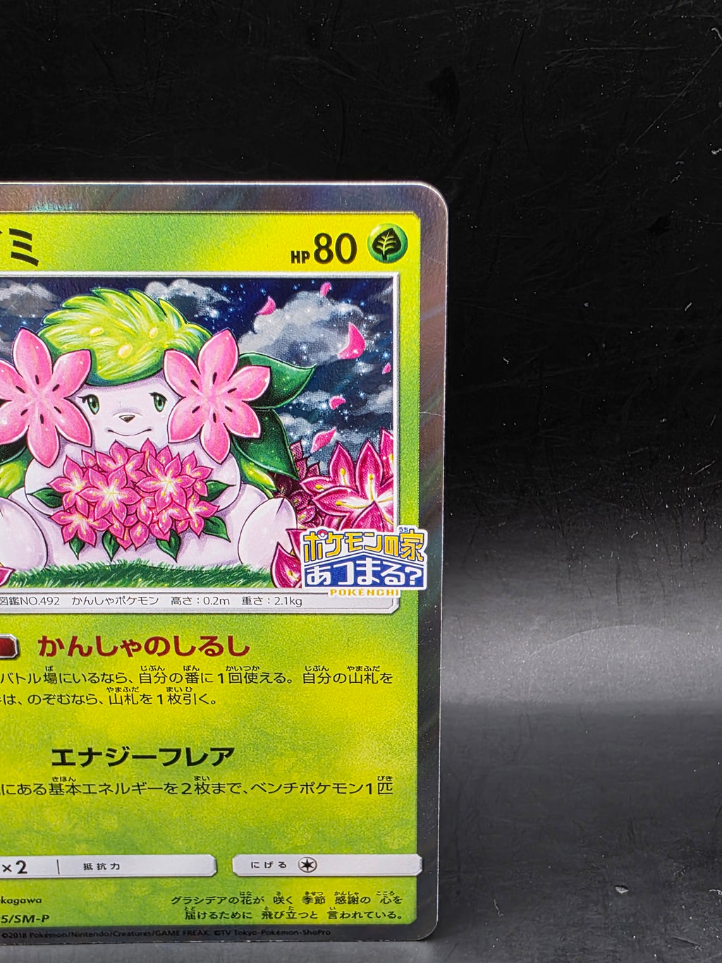 Shaymin Pokemon 2018 Holo PKMN Center 20th A Campaign Promo Japanese 225/SM-P