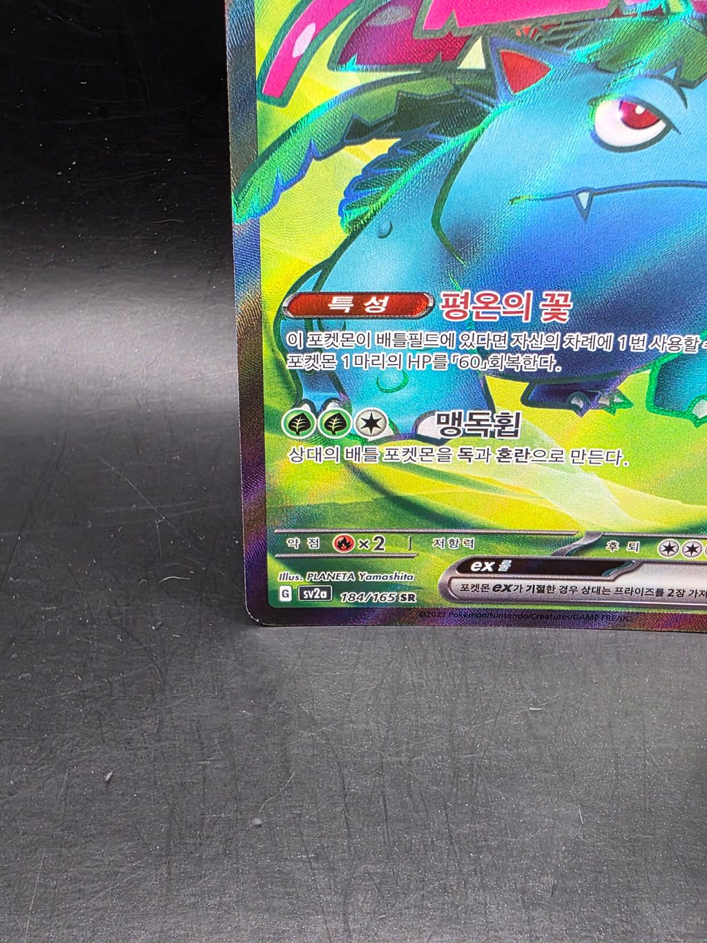 Pokémon TCG Venusaur ex Korean Full Art Holo SR 184/165 340HP