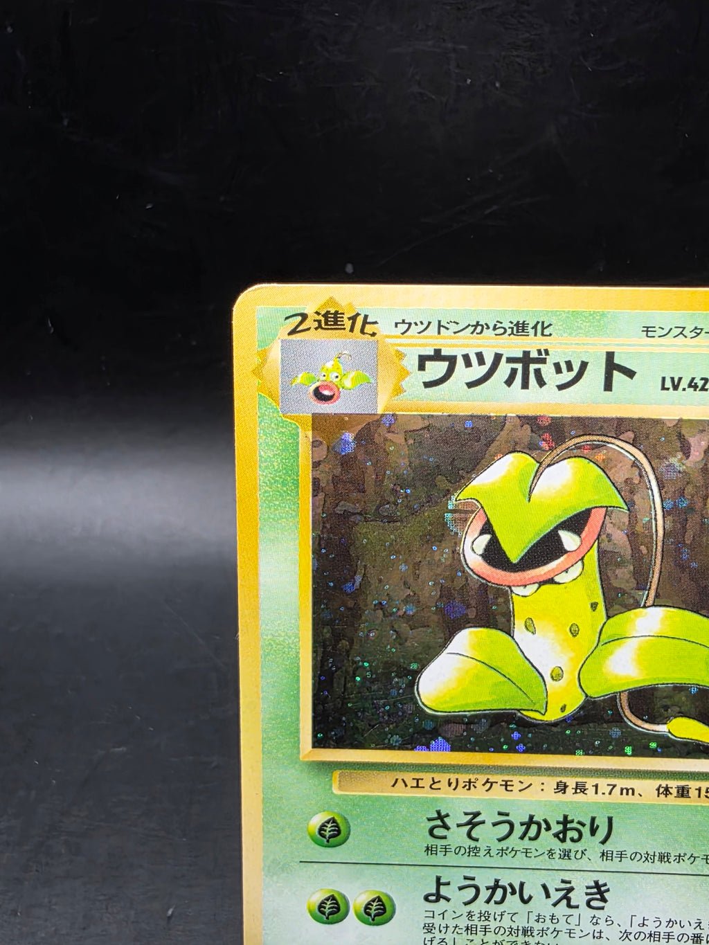 Victreebel No.071 Japanese Jungle Collection Holo Pokémon Card - MP