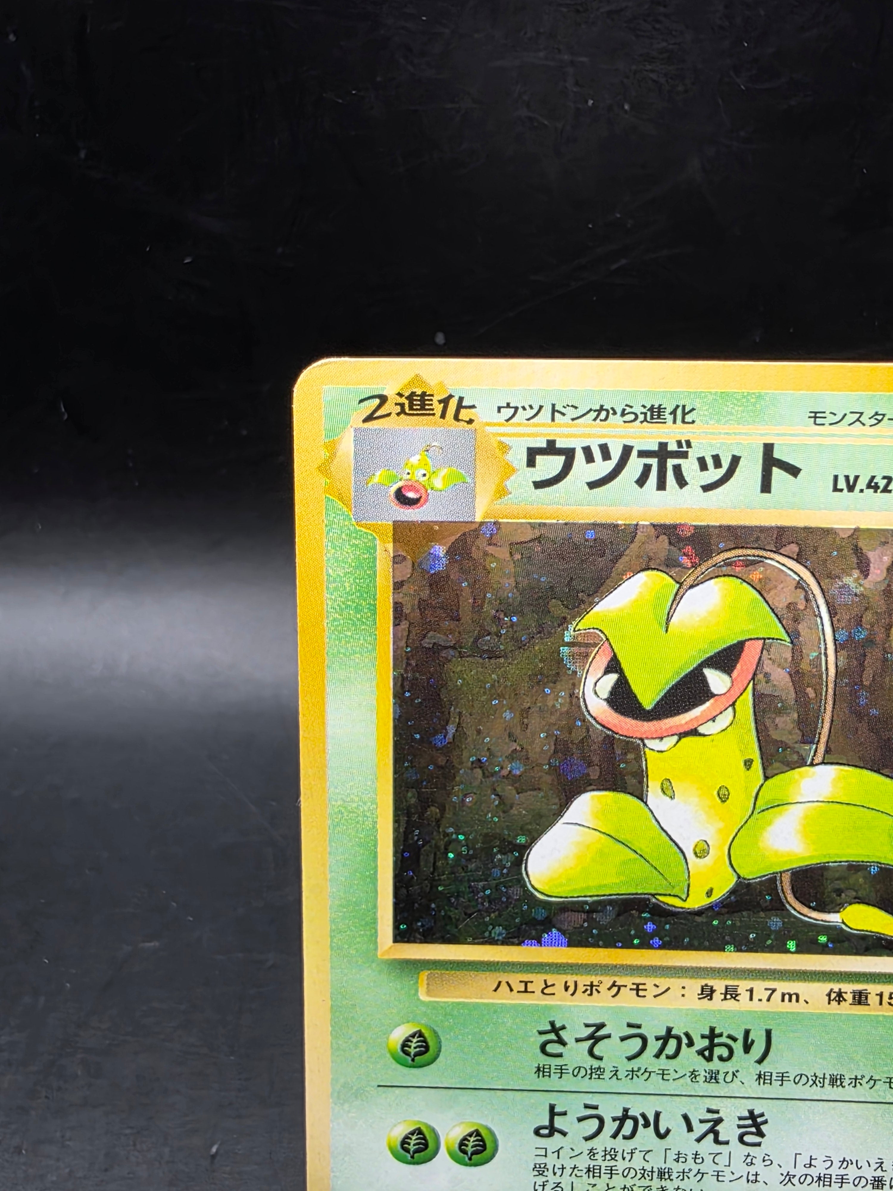 Victreebel No.071 Japanese Jungle Collection Holo Pokémon Card - MP