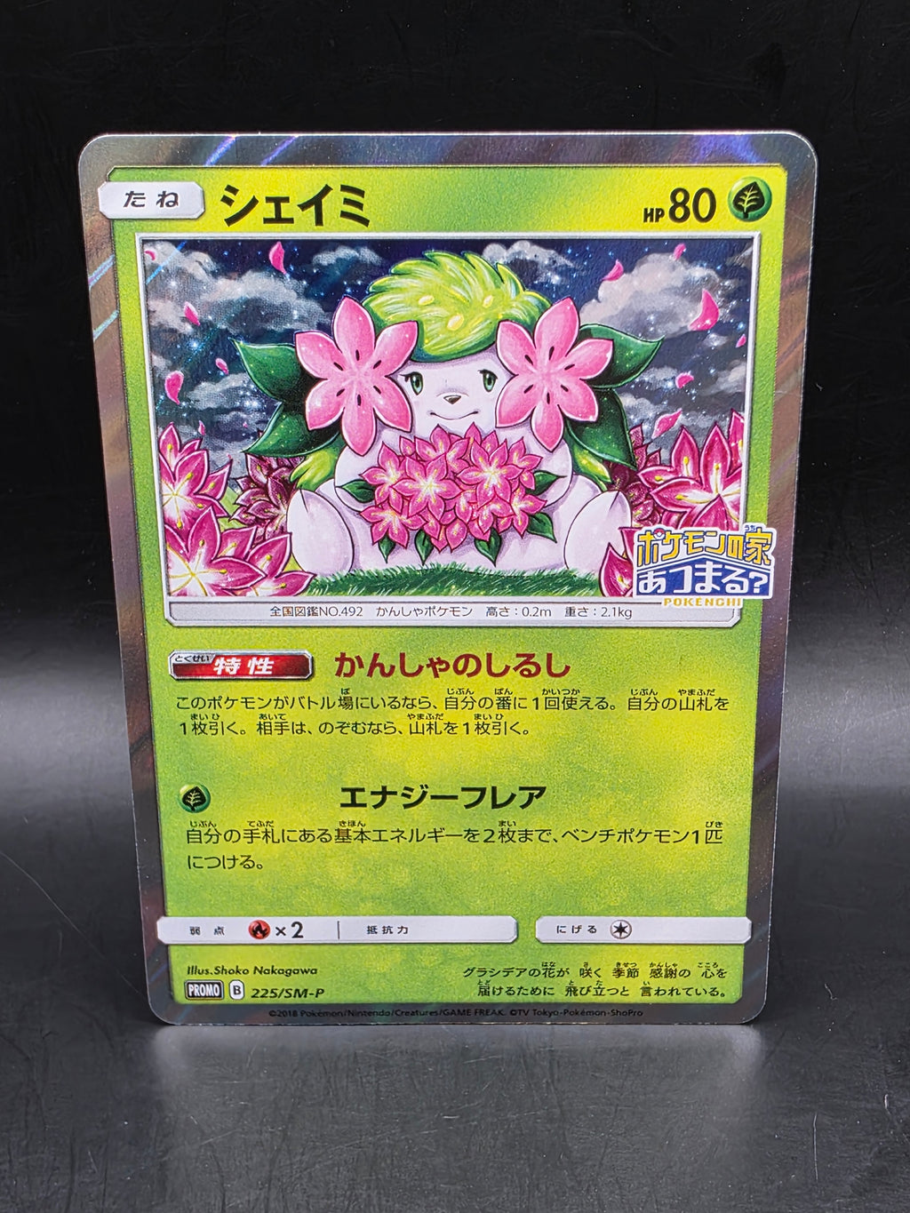 Shaymin Pokemon 2018 Holo PKMN Center 20th A Campaign Promo Japanese 225/SM-P