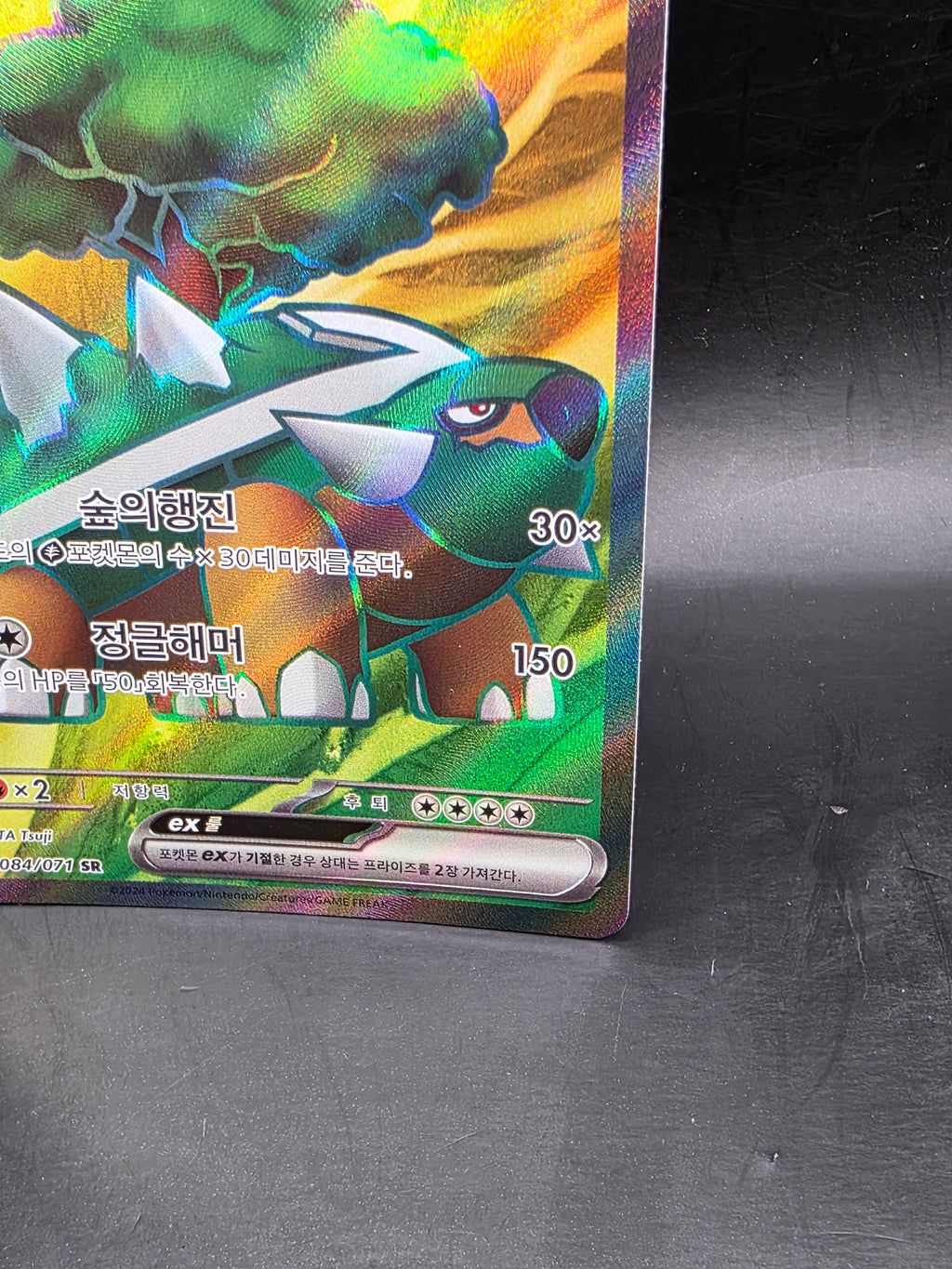 Torterra ex 084/071 sv5K: SR Full Art Holo EX 340 HP (Korean) Pokémon TCG