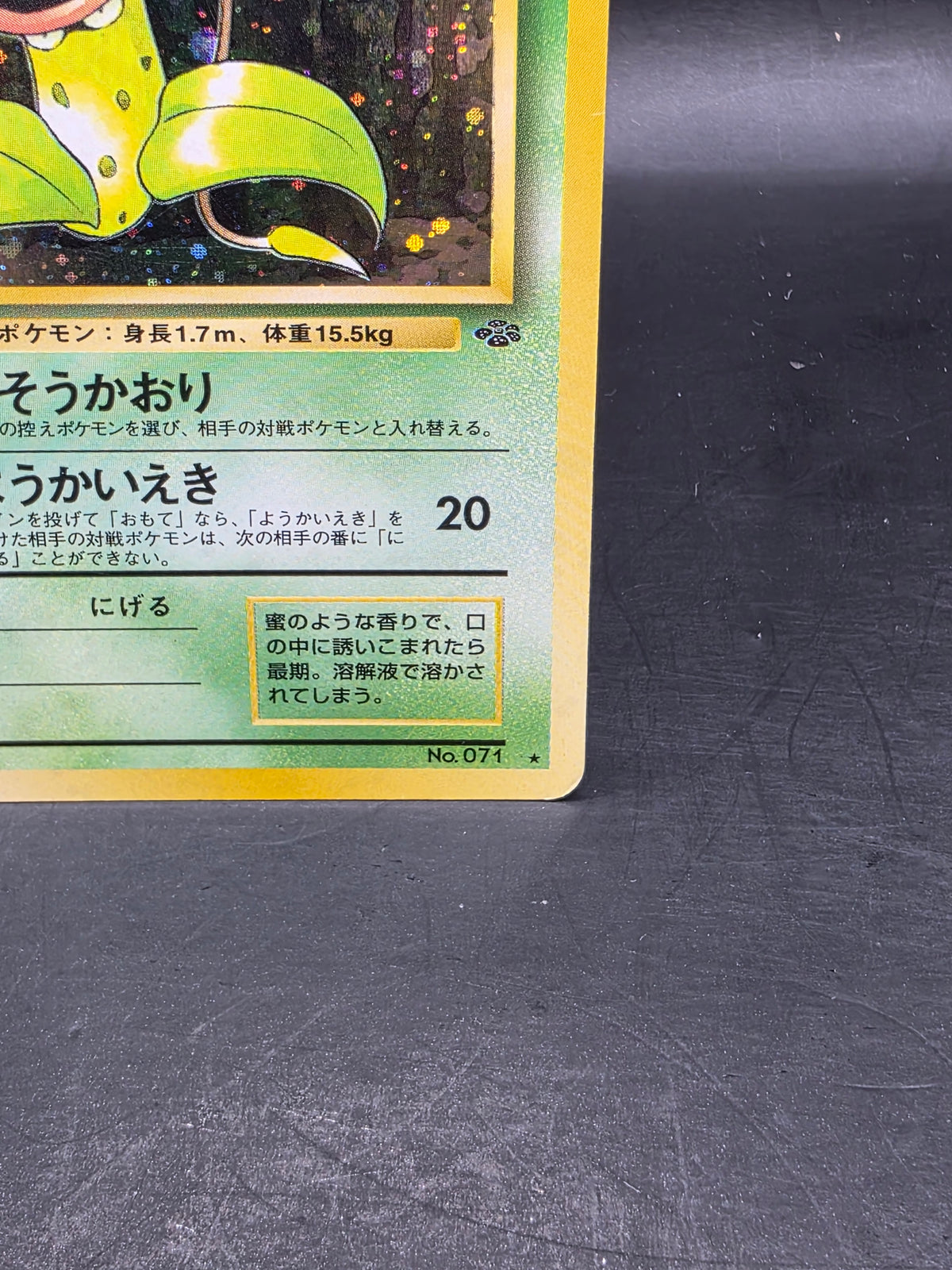 Victreebel No.071 Japanese Jungle Collection Holo Pokémon Card - MP
