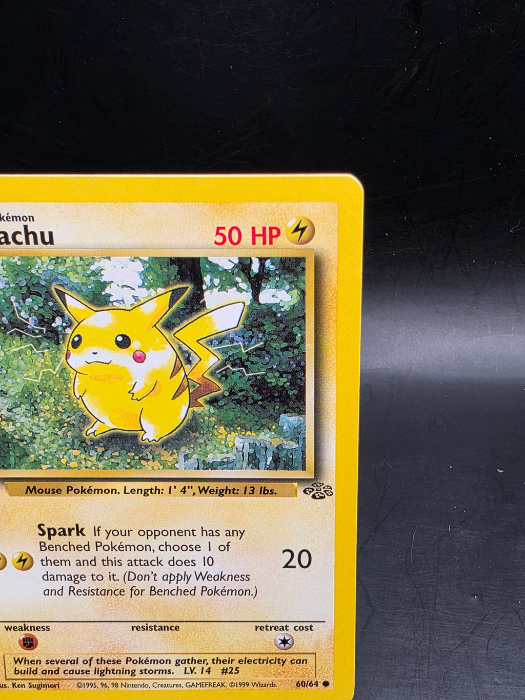 Pokémon TCG Pikachu Jungle 60/64 Regular LP