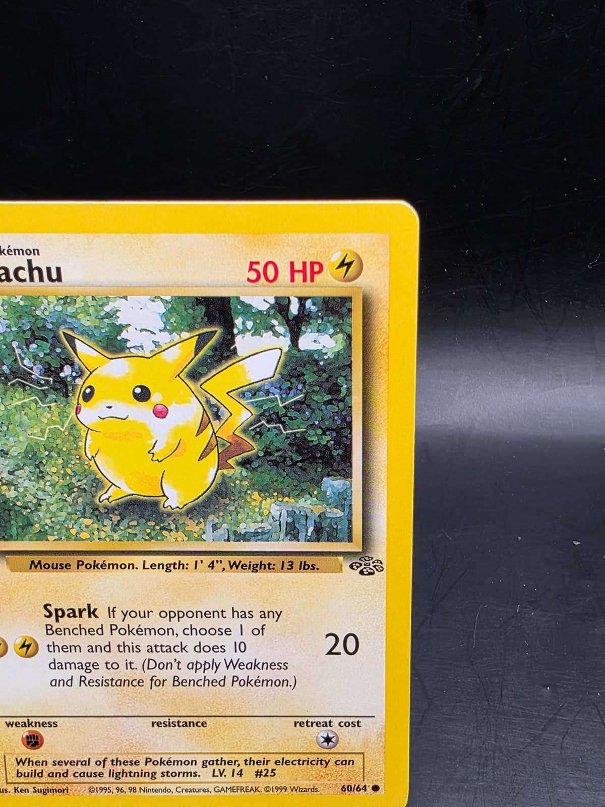 Pokémon TCG Pikachu Jungle 60/64 Regular LP