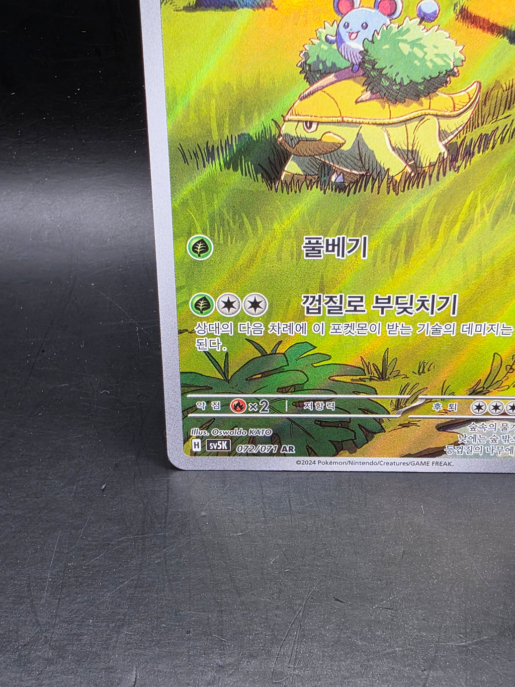 Pokemon TCG sv5k Grotle 072/071 AR Korean Wild Force Card Scarlet & Violet