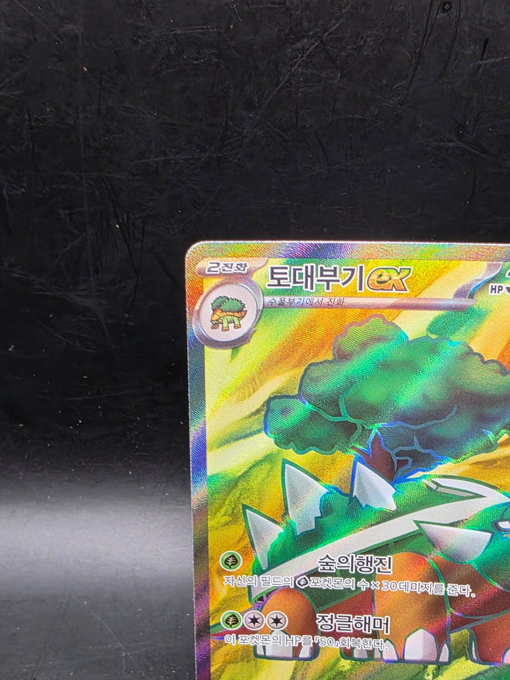 Torterra ex 084/071 sv5K: SR Full Art Holo EX 340 HP (Korean) Pokémon TCG