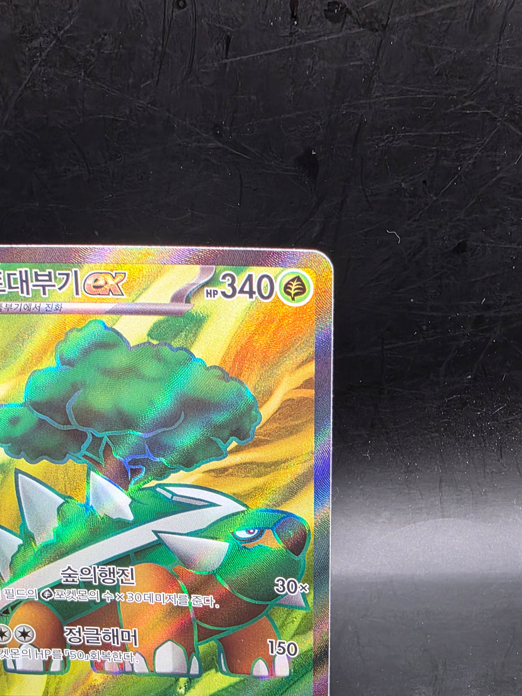 Torterra ex 084/071 sv5K: SR Full Art Holo EX 340 HP (Korean) Pokémon TCG