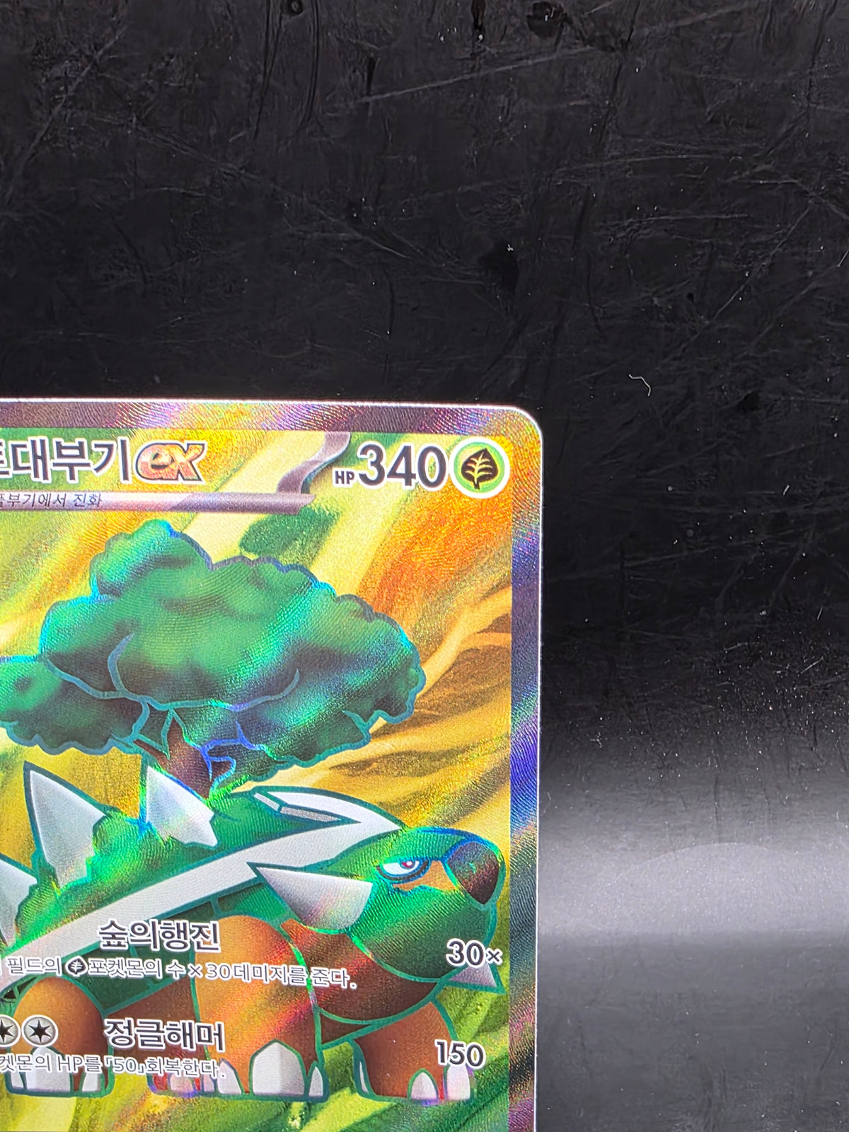 Torterra ex 084/071 sv5K: SR Full Art Holo EX 340 HP (Korean) Pokémon TCG