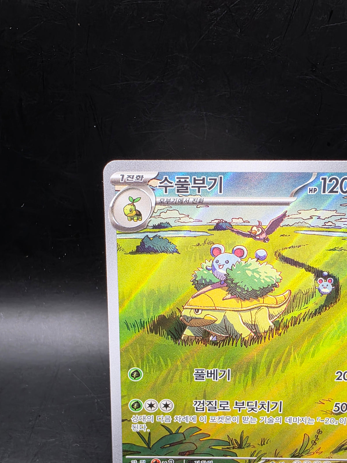 Pokemon TCG sv5k Grotle 072/071 AR Korean Wild Force Card Scarlet & Violet