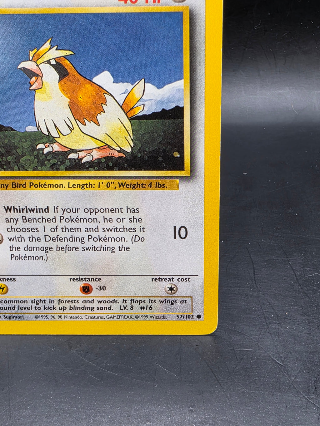 Pidgey 57/102 Common Base Set Unlimited Pokemon MP