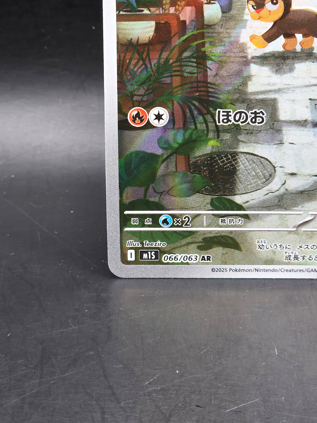 Pokemon Card Litleo AR 066/063 M1S Mega Symphonia Japanese Nm