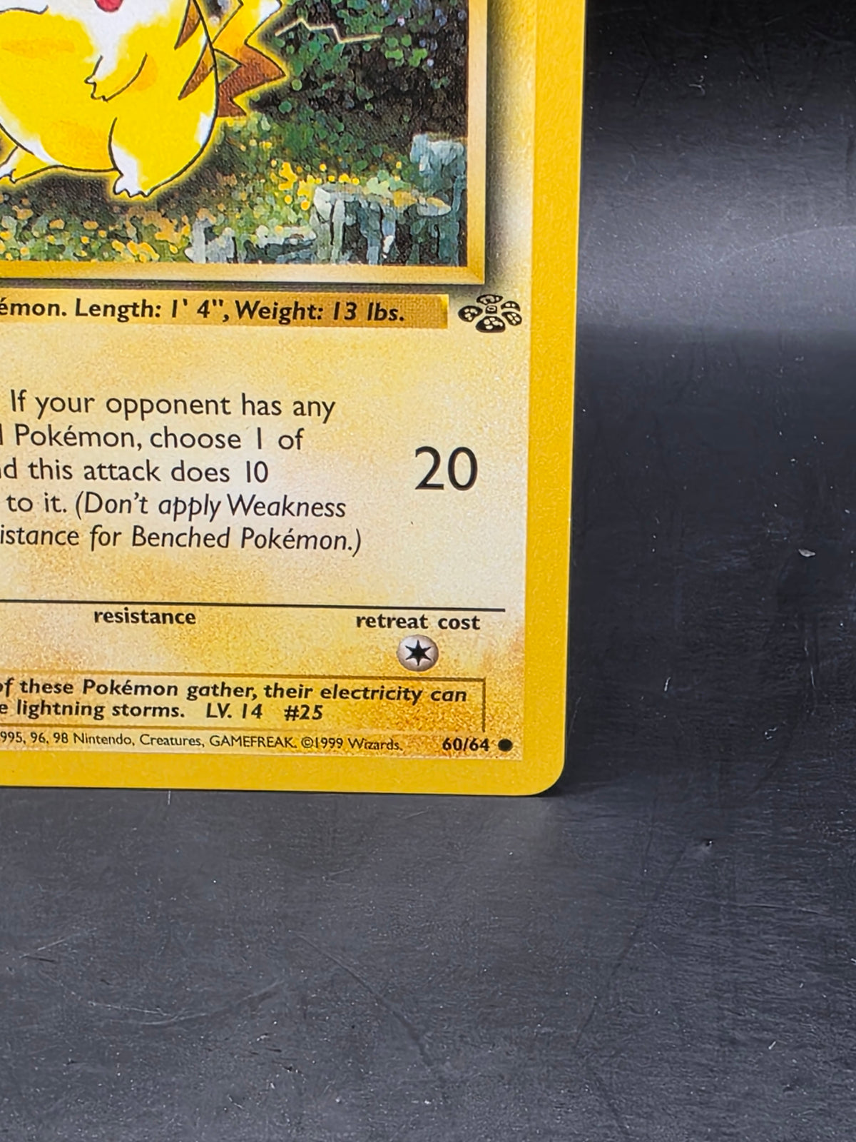 Pokémon TCG Pikachu 60/64 Jungle 1999 WOTC Unlimited Common LP