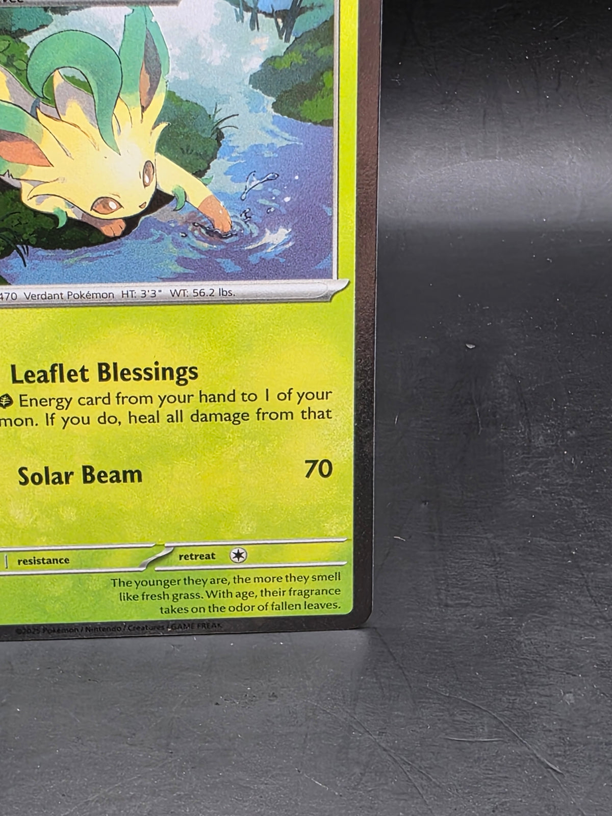 Leafeon SVP170 Scarlet & Violet Prismatic Evolutions Holo Promo Pokemon Card