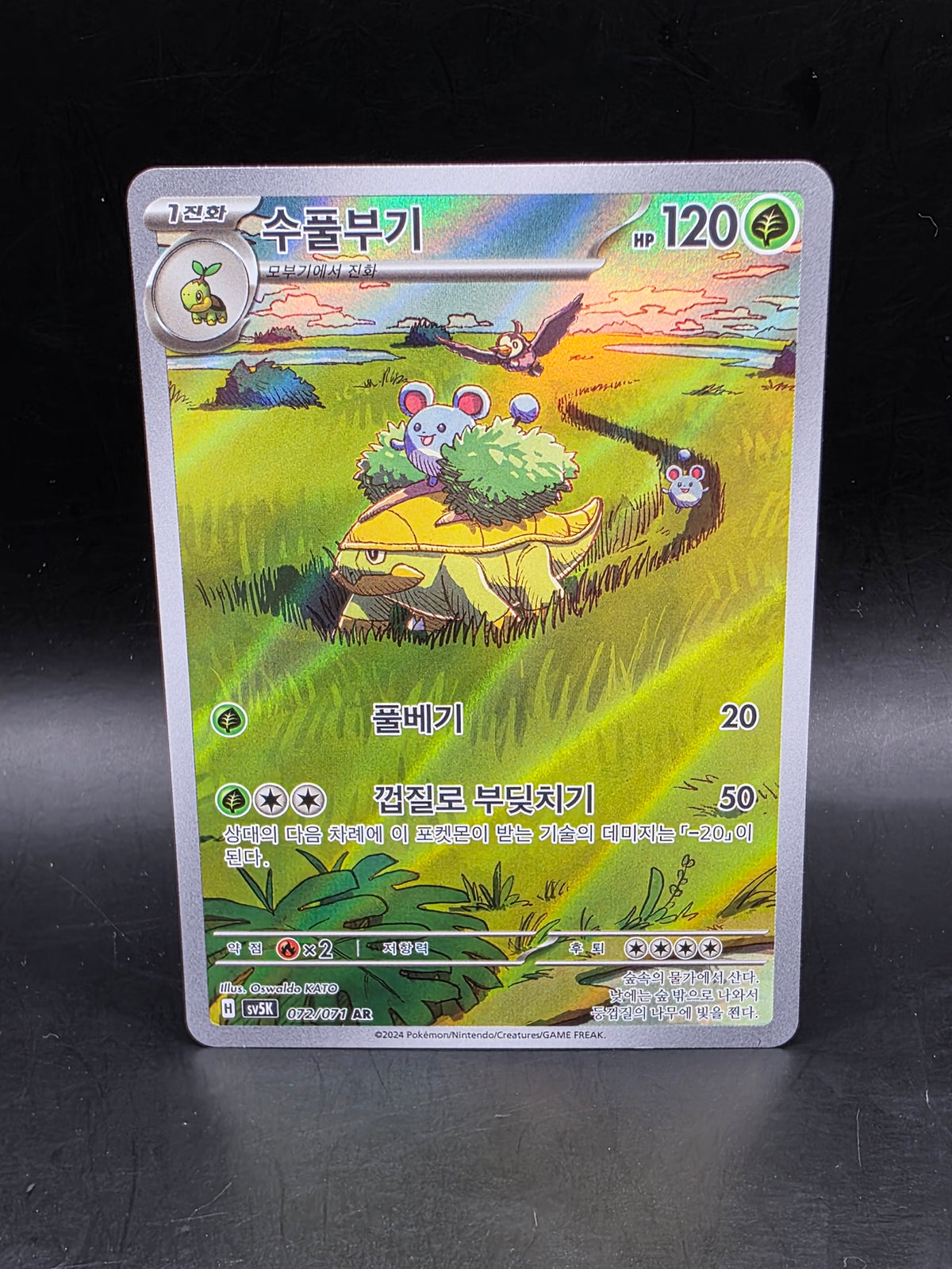 Pokemon TCG sv5k Grotle 072/071 AR Korean Wild Force Card Scarlet & Violet