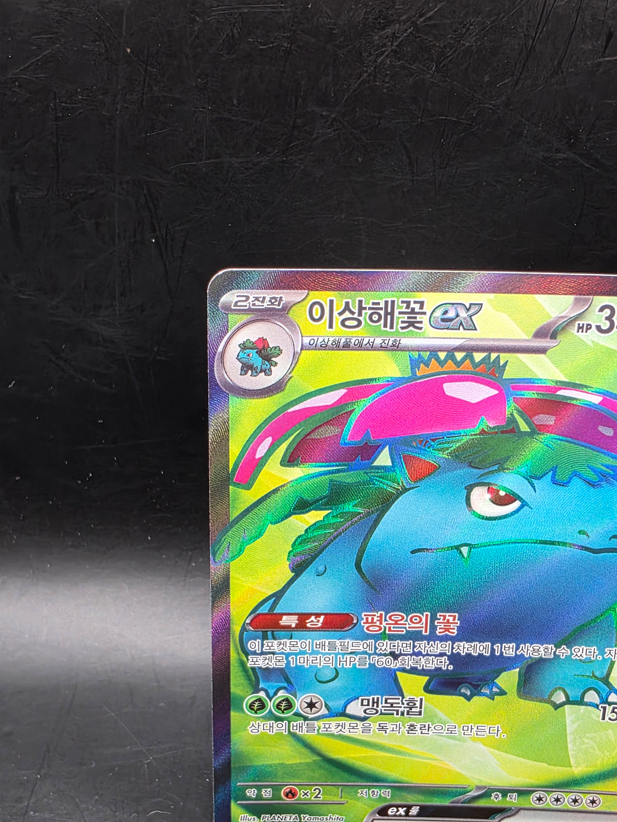 Pokémon TCG Venusaur ex Korean Full Art Holo SR 184/165 340HP