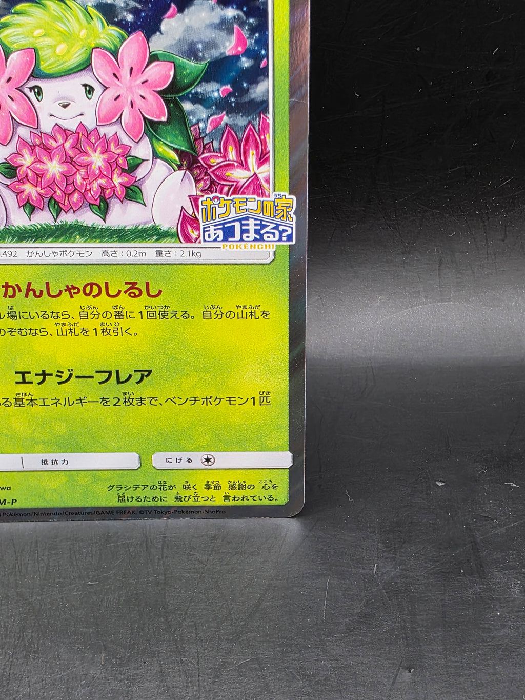 Shaymin Pokemon 2018 Holo PKMN Center 20th A Campaign Promo Japanese 225/SM-P