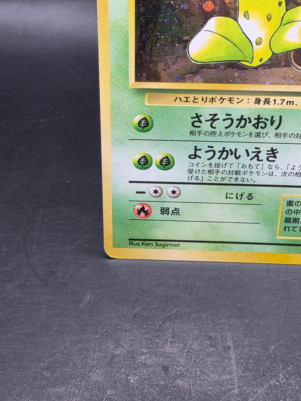 Victreebel No.071 Japanese Jungle Collection Holo Pokémon Card - MP