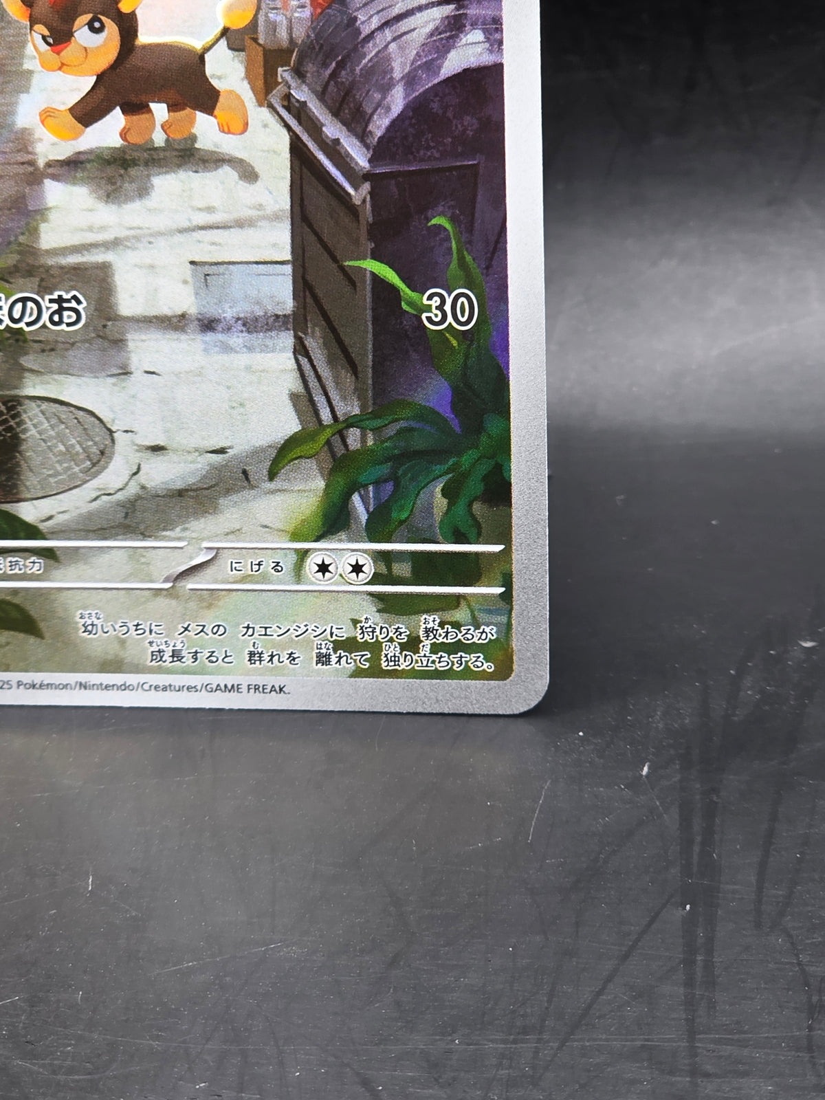 Pokemon Card Litleo AR 066/063 M1S Mega Symphonia Japanese Nm