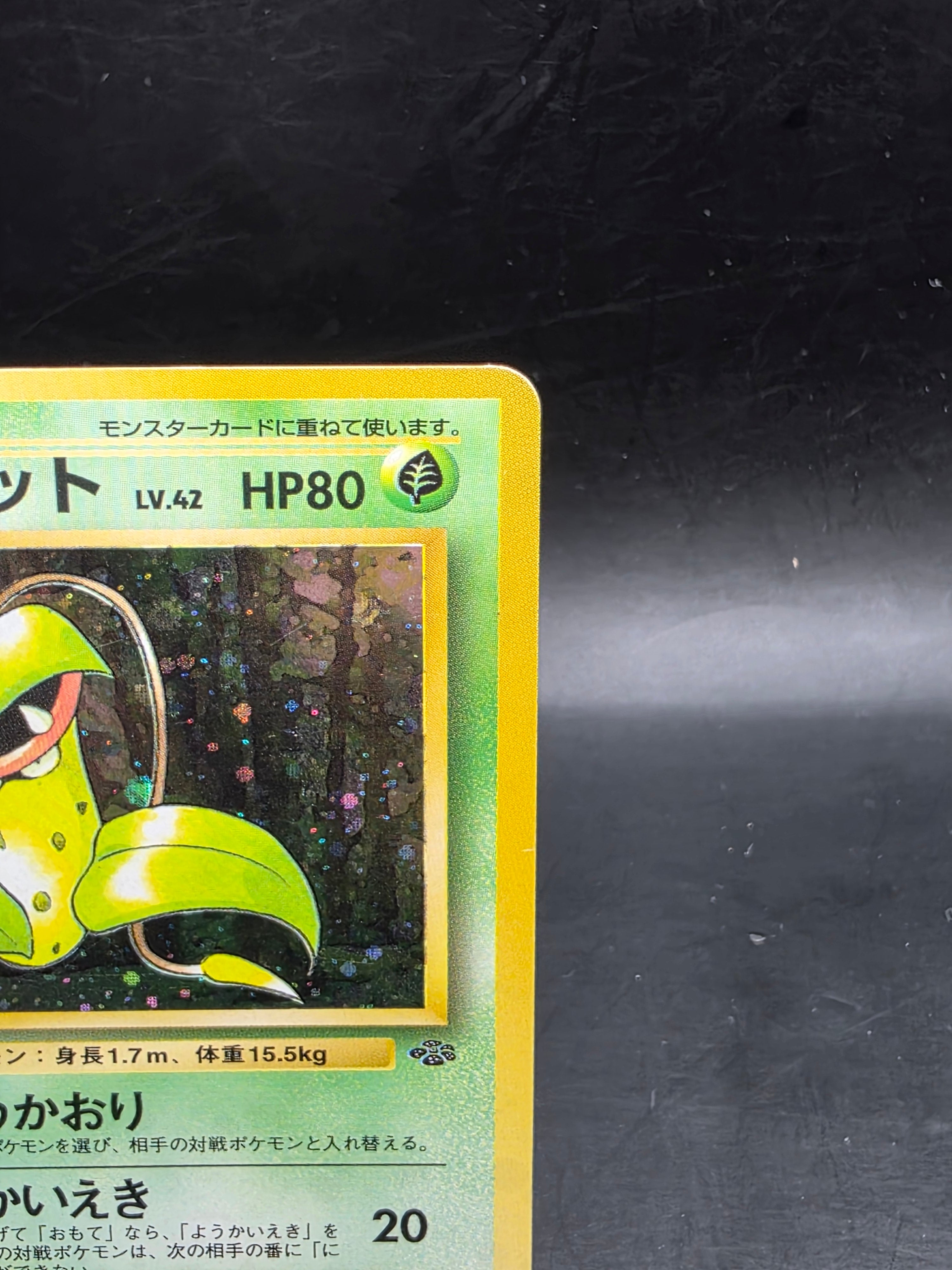 Victreebel No.071 Japanese Jungle Collection Holo Pokémon Card - MP