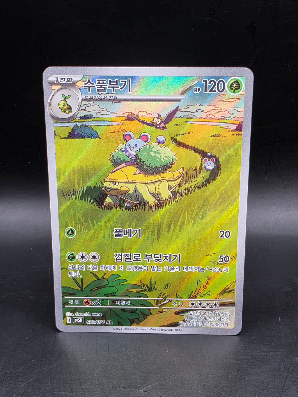 Pokemon TCG sv5k Grotle 072/071 AR Korean Wild Force Card Scarlet & Violet