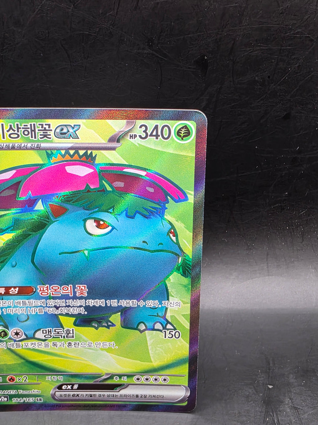 Pokémon TCG Venusaur ex Korean Full Art Holo SR 184/165 340HP