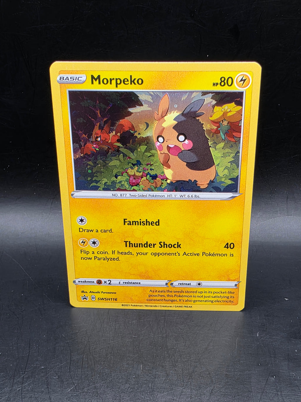 Pokemon Morpeko TCG SWSH116 Black Star Promo Holo Card