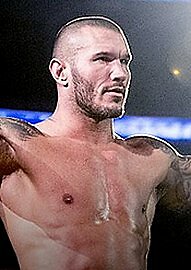 WWE- Randy Orton - The Evolution Of A Predator (Blu-ray, 2014)